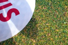 Helfoliering-Avis-DI-Golfen-2